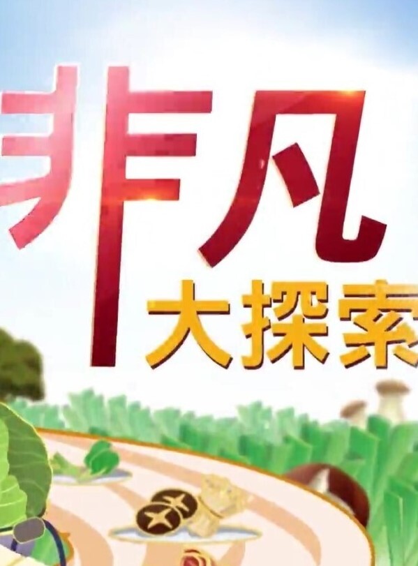 精品偷拍美女被操的满口淫语大叫喜欢你操我鸡巴又粗又长把我小骚逼都操开了好痒啊 - 肉視頻